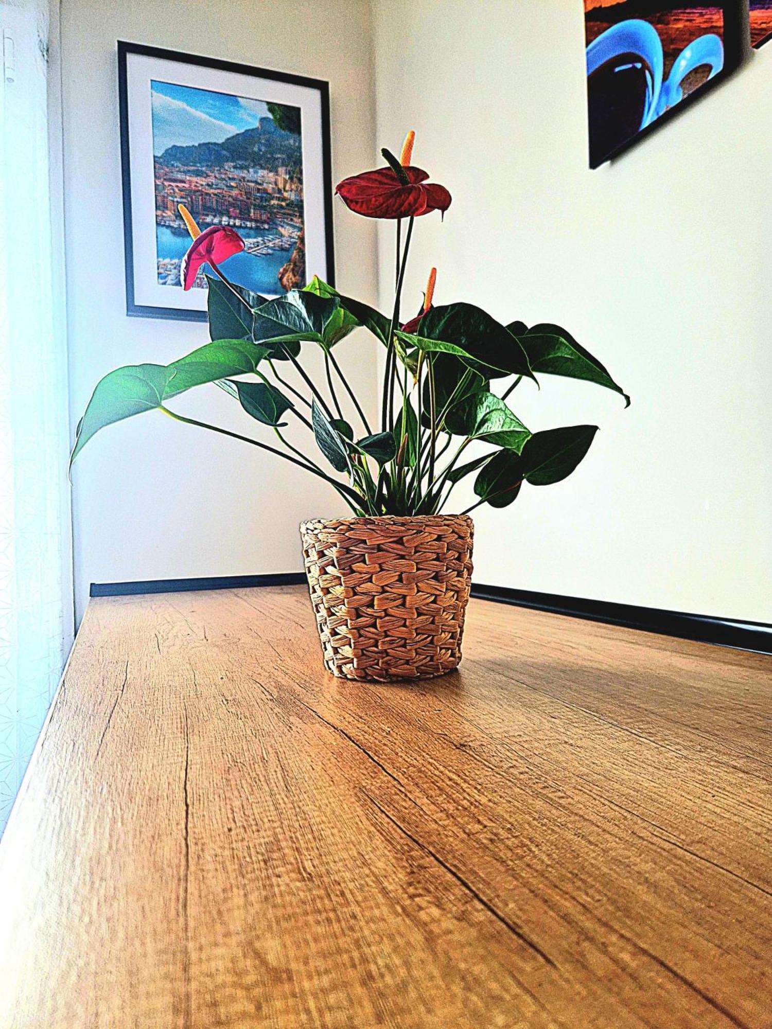 Nissalabella Apartment Nice Ngoại thất bức ảnh